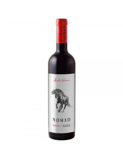 Aurelia Visinescu - Nomad - Merlot