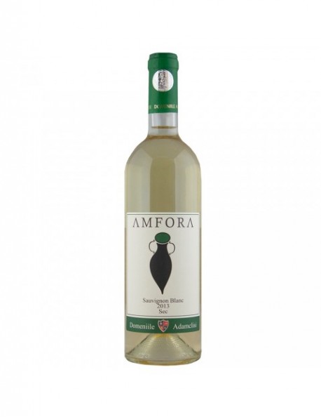 Amfora - Sauvignon Blanc