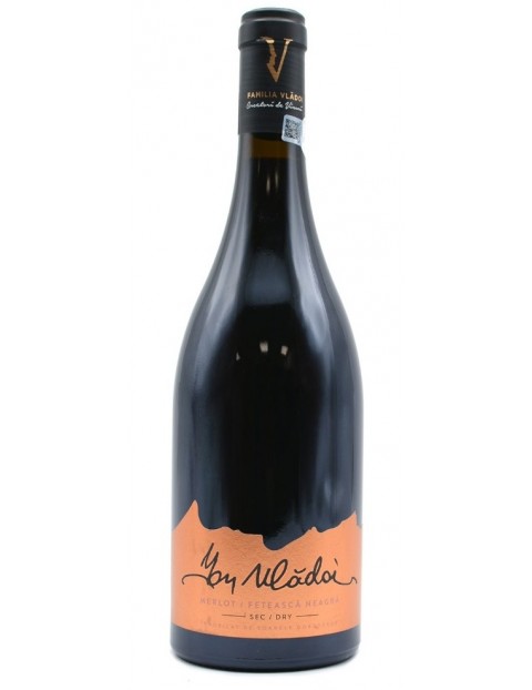 Domeniul Vladoi - Ion Vladoi - Merlot, Feteasca Neagra