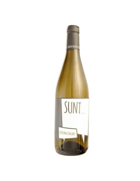 1000 DE CHIPURI - SUNT